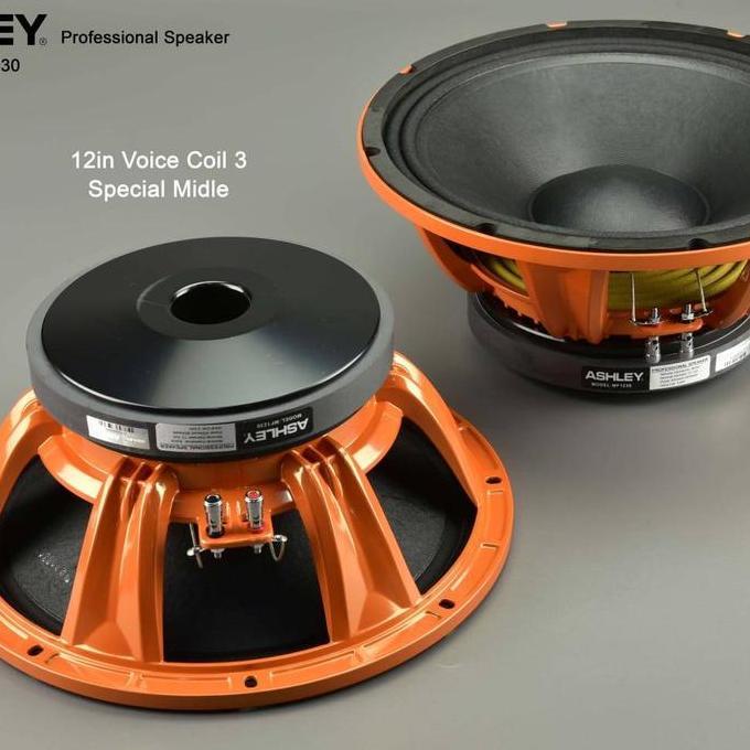SPEAKER COMPONENT ASHLEY MF1230 MF 1230 MF12 30 ORINAL