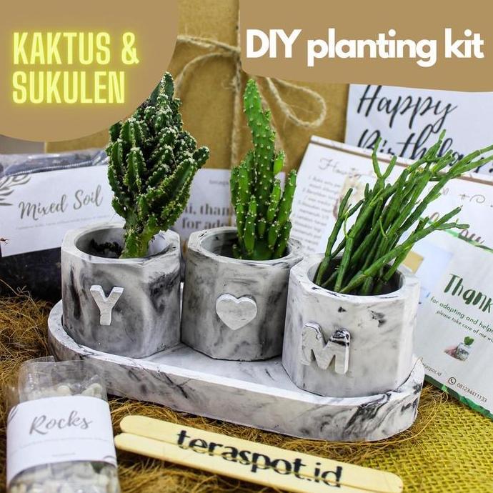Planting Kit Kaktus Sukulen DIY Menanam Hadiah / Hampers / Souvenir
