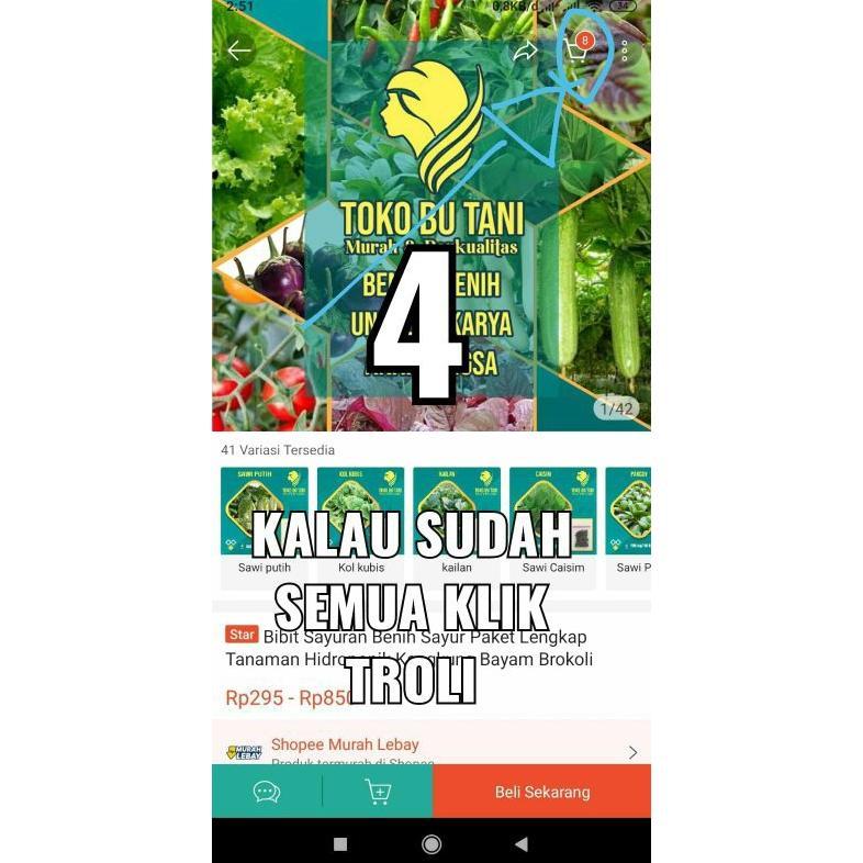 Promo Cod Bibit Sayuran Benih Sayur Paket Lengkap Tanaman Hidroponik Kangkung Bayam Brokoli Cabe Raw