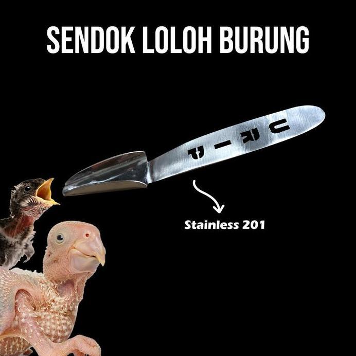SENDOK STAINLESS LOLOH ANAKAN BURUNG SIZE M FALK SUNCONURE KAKATUA