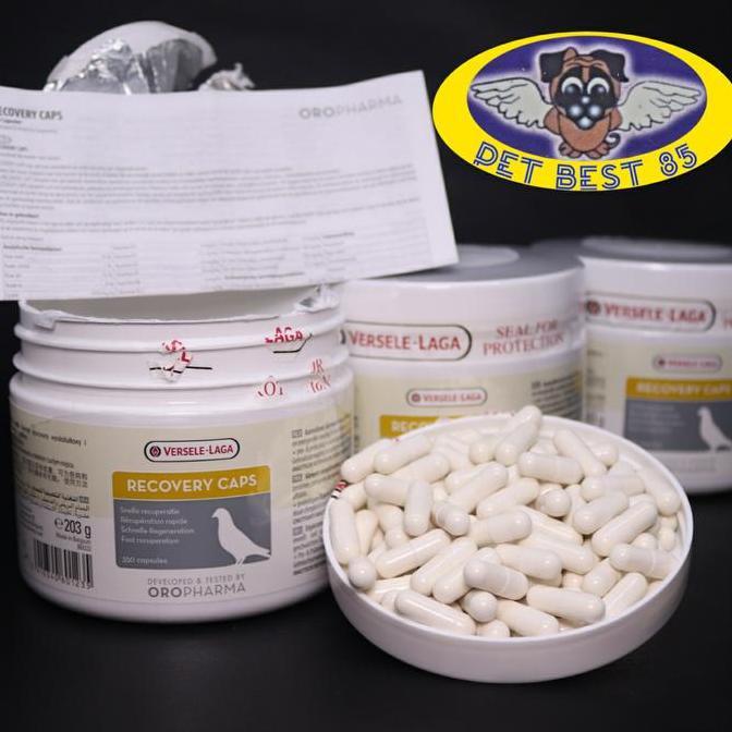 Recovery Caps 10 Capsule Recovery Sakit/Kelelahan Penerbangan Merpati