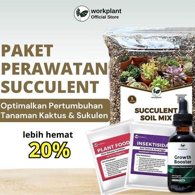 Workplant - Paket Perawatan Succulent Optimalkan Pertumbuhan Tanaman Hias Kaktus dan Sukulen