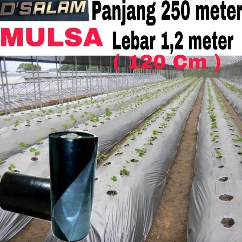 PLASTIK MULSA ( 1 ROLL ) panjang 250 meter * Lebar 120cm (1,2meter)