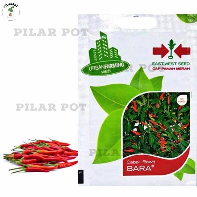 benih bibit cabai rawit bara cap panah merah - CABAI RAWIT BARA