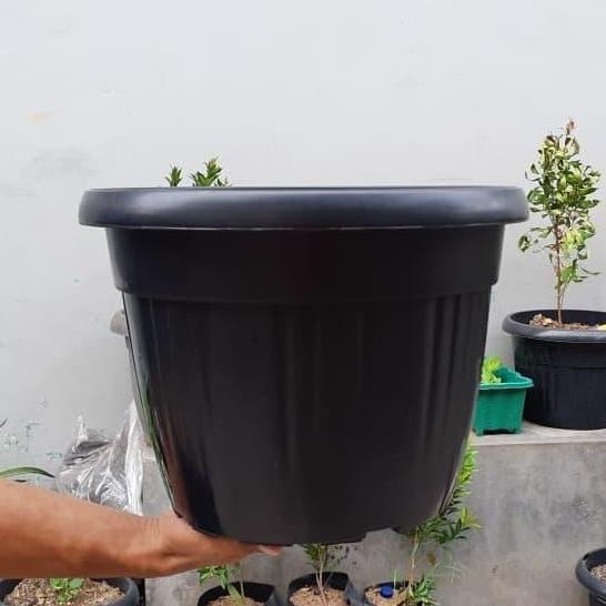 Pot Bunga Tanaman Plastik Grace 35 Hitam Kuping Bahan Tebal - GRACE 35 HITAM KUPING