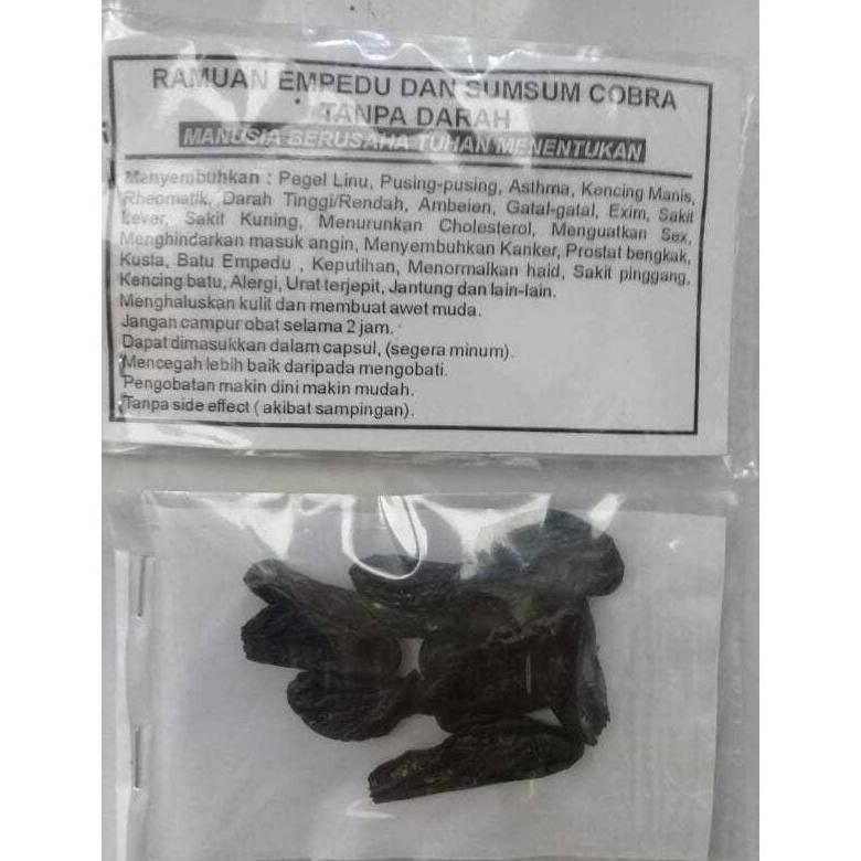 GS EMPEDU ULAR COBRA ASLI IBU AMINAH BEST SELLERSS