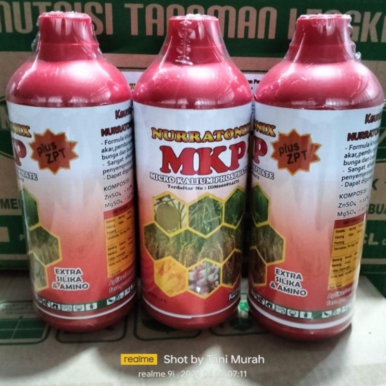 Promo Cod Nurratonix Mkp 1 Liter Plus Silika Amino Dan Zpt  Pupuk Nutrisi Pembesar Buah Umbi Penamba