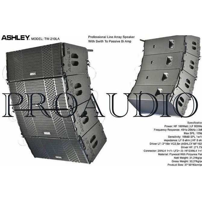 SPEAKER LINE ARRAY ASHLEY TW210LA / TW 210 LA / TW-210LA / TW 210LA