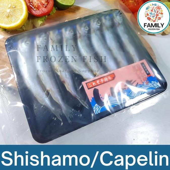 Terlaris Ikan Shisamo Full Telur Import | Shisamo/Capelin Premium Quality
