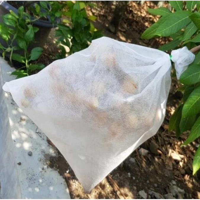 New- Fruit Cover, Brongsong Buah, Pembungkus Buah Anggur, Mangga, Apel, dll
