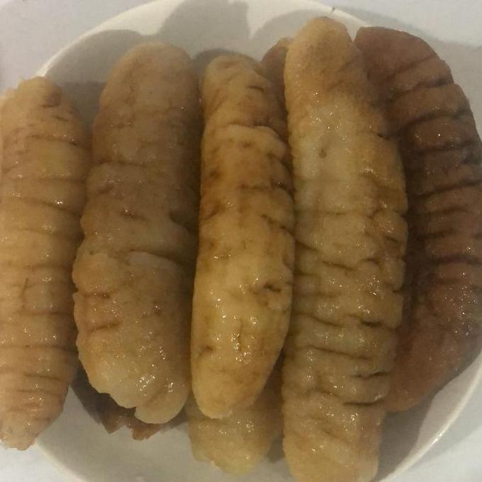 Teripang /Hoisem/Haisom