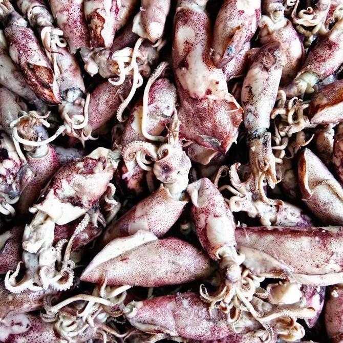 Jual Cumi Asin Bertelur Fresh 500Gram 50% Basah