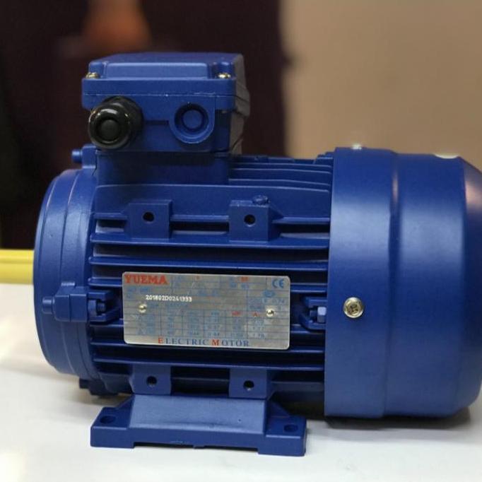 Dinamo Yuema 1 Hp 1 Pk 1Hp 3Phase Motor Yuema 1Hp 3Phase 1450Rpm  Sale
