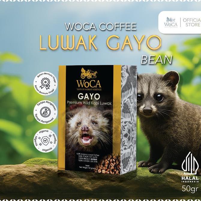 Terlaris Woca Kopi Luwak Gayo 50 Gram Bean