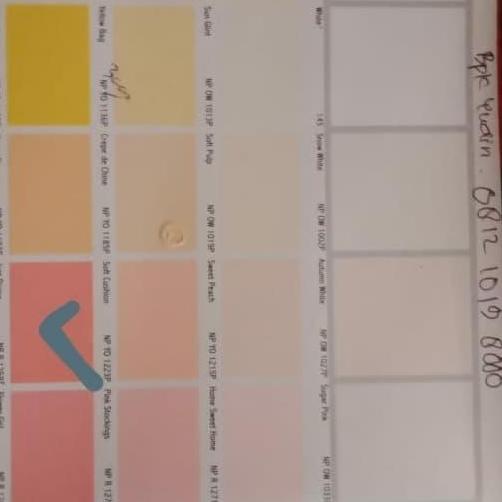 Nippon Elastex / Nippon Elastex Tinting Galon / Elastex Just Divine  Sale