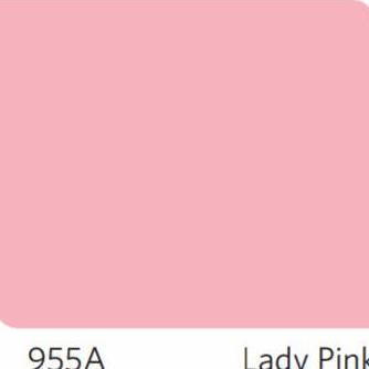Vinilex 955A Lady Pink Cat Tinting Nippon Paint Interior 5 Kg  Sale