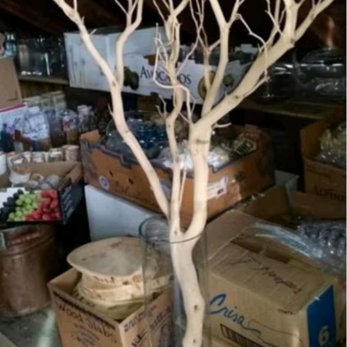 Ranting Pohon Dekorasi/Ranting Pohon Hias Bercabang/Halus/120cm