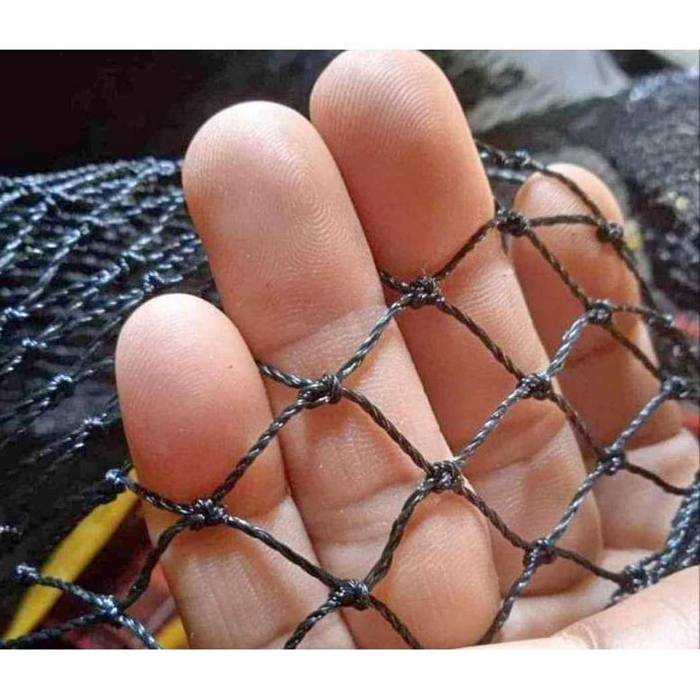 Bisa Cod Jaring Pagar Ayam Lubang 1Cm ><