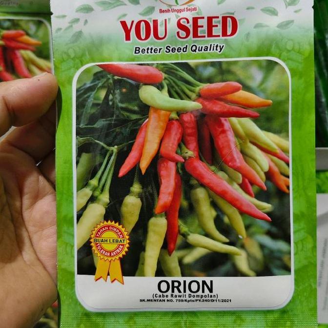 Benih cabe ORION 10 gram cabai rawit putih berdompol berangkai you seed rawet setan Hijau Merah
