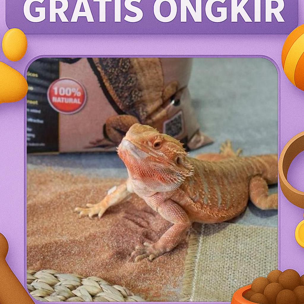 Exoterra Desert Sand Red 4.5Kg / Pasir Gurun Exoterra / Pasir Terrarium Reptil / Pasir Kandang Repti