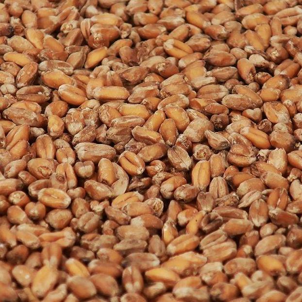 Malt Chteau Wheat Crystal 150 EBC