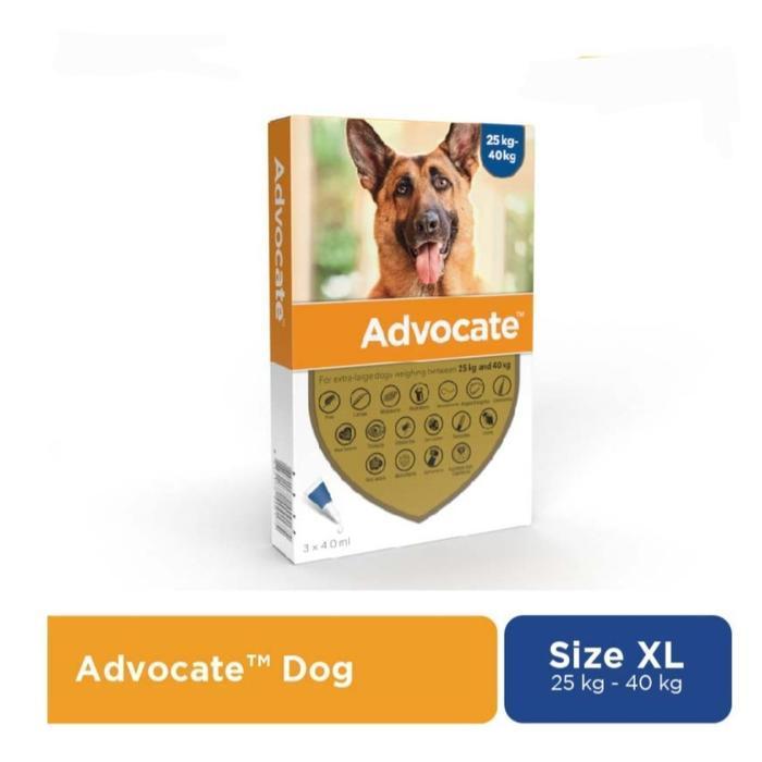 advocate XL extra large dog flea tick 25 - 40 kg obat kutu anjing