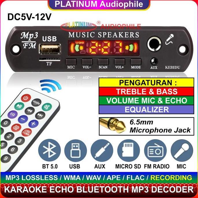 Modul MP3 Decoder Bluetooth 5.1 Karaoke Mic echo Multimedia Speaker 163BT
