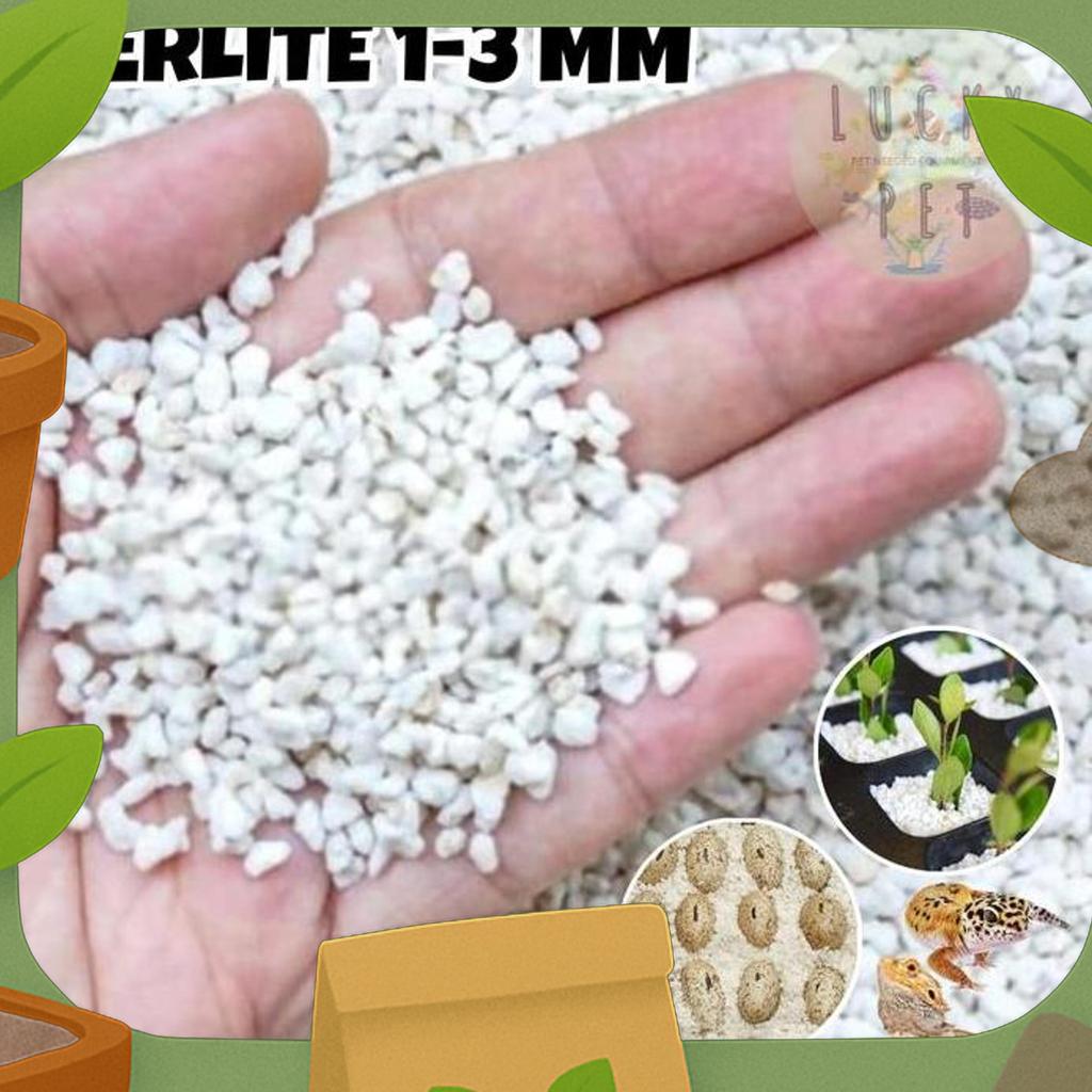 Perlite Media Tanam Tanaman Alas Media Penetasan Telur Reptil Gecko