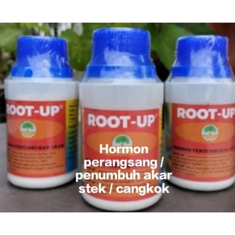 Root Up Hormon Penumbuh Akar Stek/ Cangkok Praktis