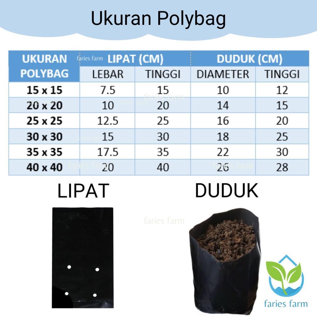 Bisa Cod Polybag Polibag 1 Pack Kurang Lebih 250 Gram Ukuran 15X15 20X20 25X25 30X30 35X35 40X40 50X