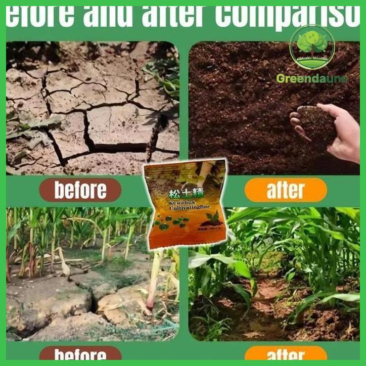 KATALIS PEMBENAH TANAH KERAS 25G PUPUK PENYUBUR TANAH DAN TANAMAN PENYUBUR TANAH UNTUK TANAMAN PENGG