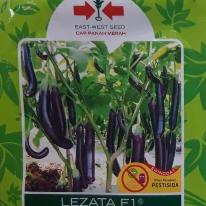 New- Benih / bibit terong panjang LEZATA F1