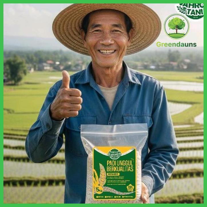 BENIH PADI PANDAN WANGI | 5KG | 1KG | BIBIT KUALITAS SUPER ASLI | COD TAMAN TANAMANA BIBIT PEKARANGA