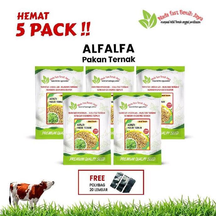 5 Pack benih alfalfa - benih pakan ternak benih tanaman alfalfa