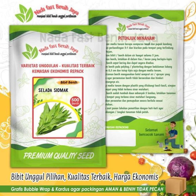 500 biji Benih siomak selada wangi - bibit sayuran siomak