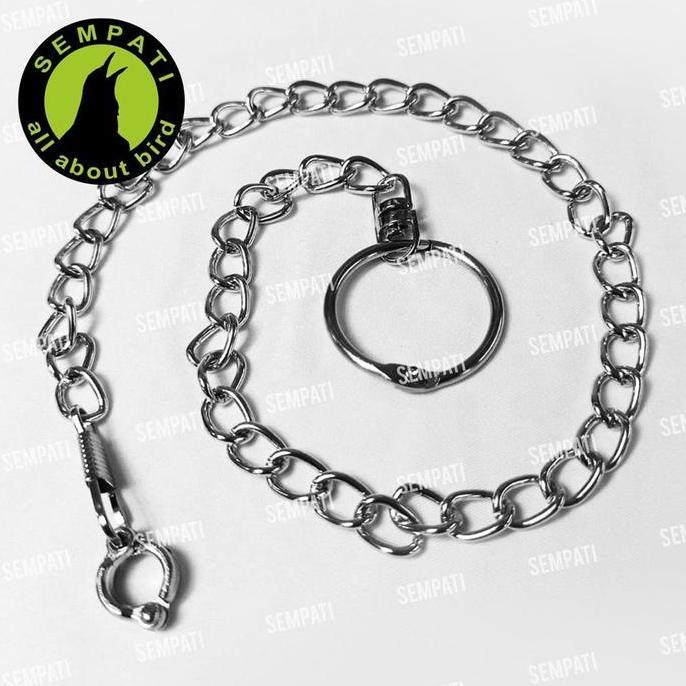 Rantai Burung Nuri Pelangi Ring Import 7 Mm Rantai Ff Umbaran Free Flying Rantai Gelang Kaki Ring La