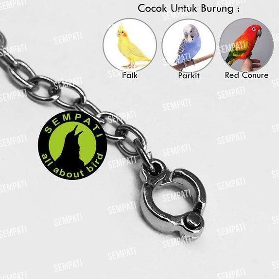 Rantai Burung Falk Ring Stainlis 6 Mm Rantai Ff Umbaran Free Flying Rantai Gelang Kaki Burung Parkit