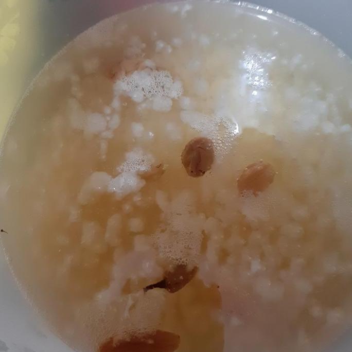 Healt- Algae Jepang #Water Kefir #Bibit Water Kefir