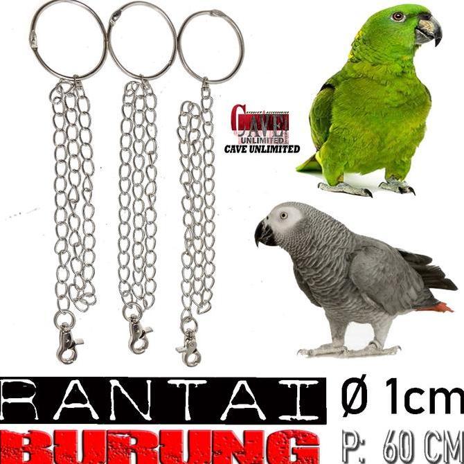 Britis- Rantai Rante Ring Borgol Kaki Burung Love Bird Betet Parkit Lovebird