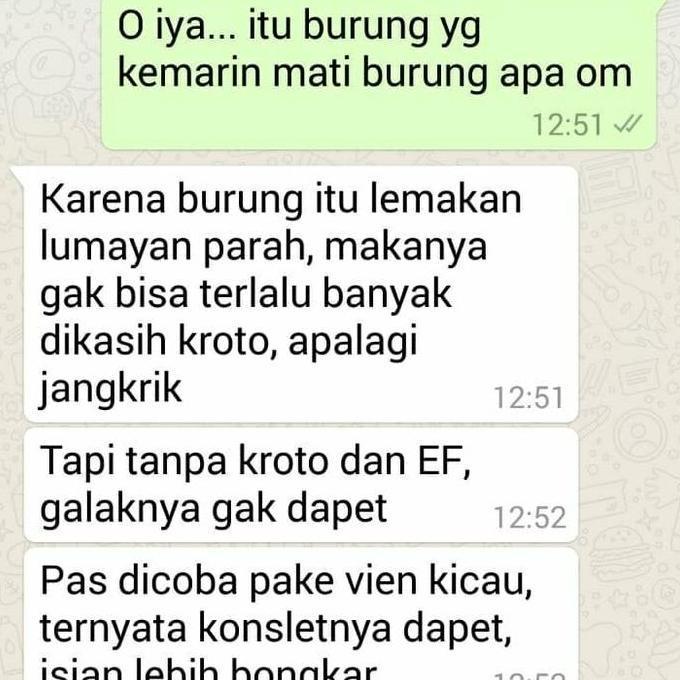 Brixd- Voer Vien Murai Batu Pakan Protein Tinggi