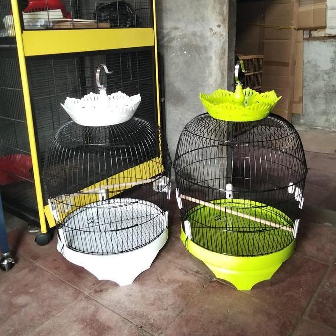 TERMURAH - Kandang burung tekukur , puter besi mahkota import diameter 42cmxT49cm