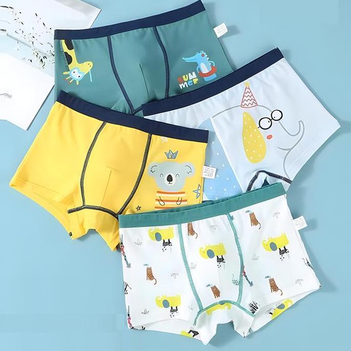 Celana Dalam Anak Laki Laki 2-14 Tahun Celana Boxer Anak Laki Laki 12 Pcs Celana Dalam Boxer Anak Co