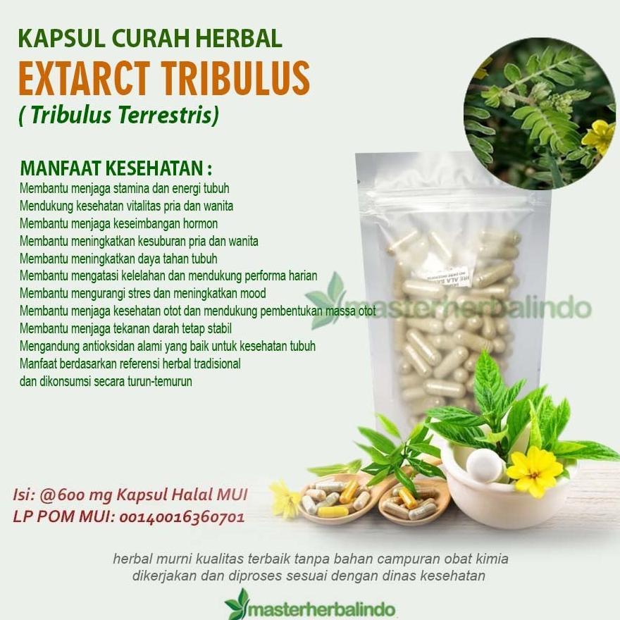 Snackwell Kapsul Curah Herbal EXTRACT TRIBULUS 200x600mg Jaga Stamina Dukung Vitalitas Bantu Keseimb