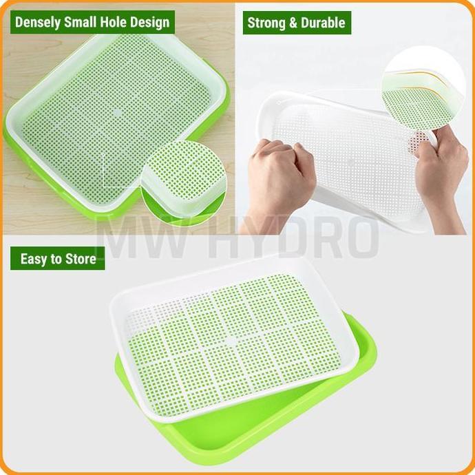 MICROGREEN SPROUTING TRAY WITH COVER - TRAY SEMAI MICROGREEN DENGAN TUTUP