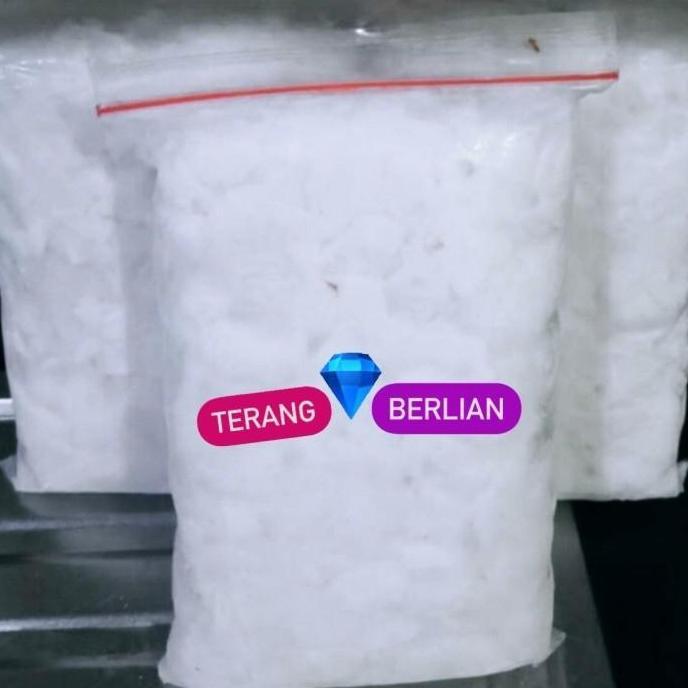 NEW DAGING KELAPA MUDA BEKU BEST