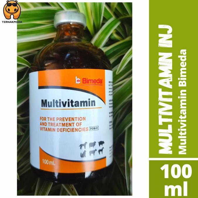 Brixd- Multivitamin Injeksi 100Ml - Injeksi Multivitamin - Vitamin Hewan