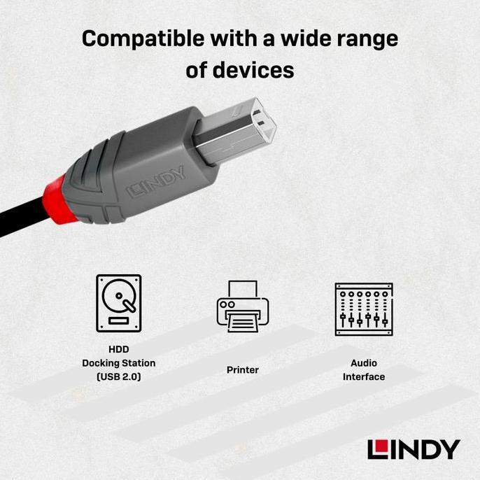 Daptorti- Kabel Printer & Audio Interface Lindy Usb 2.0 Type C To Type B Male To Male
