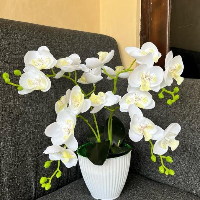 Xyxy- Bunga Hias Anggrek Kain 4 Cabang Vas Kerang Dekorasi Pot Plastik Diameter 13 Cm Tinggi 25-30 C