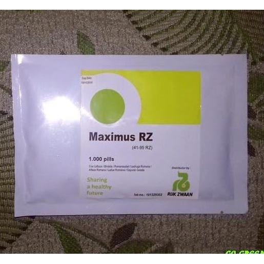 100 seed - Benih Maximus RZ Romaine Rijk Zwaan Repack