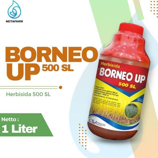 #####] HERBISIDA BORNEO UP 500 SL PEMBASMI ANEKA GULMA - 1 LITER